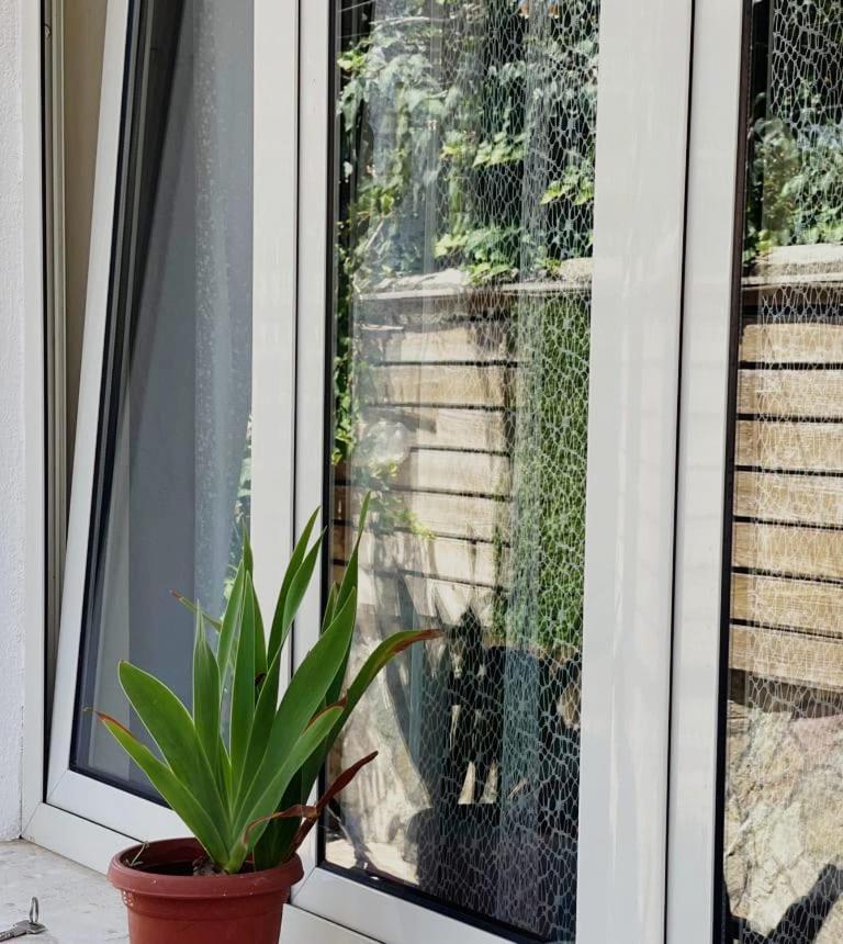 Apartament Mishel House Szkodra Zewnętrze zdjęcie